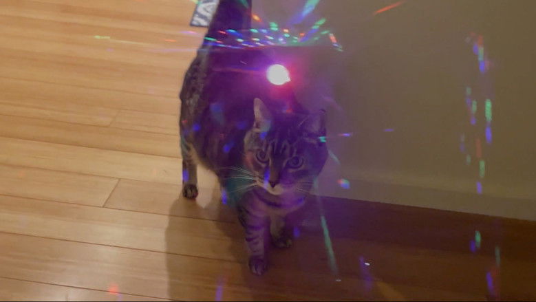 кадр из фильма Another Annette Bening Mug