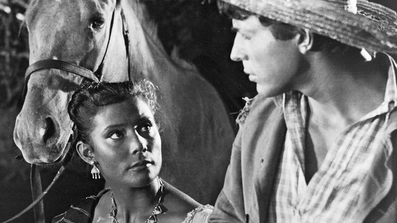 кадр из фильма Мексиканец