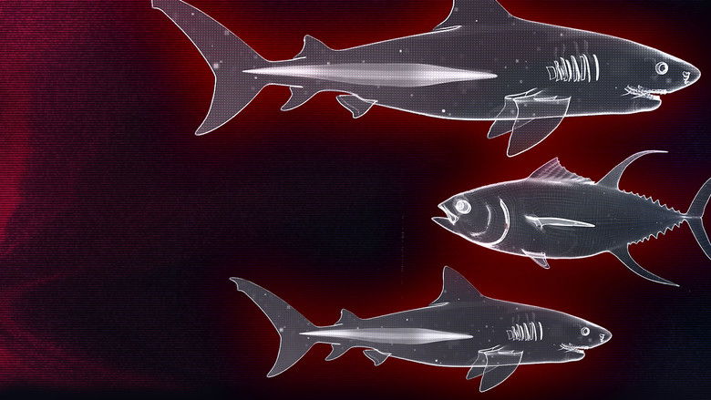 кадр из фильма Акула против тунца