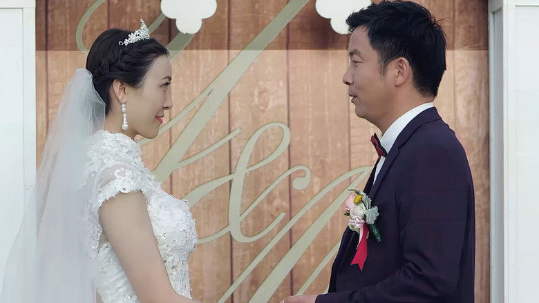 我的老婆是女神