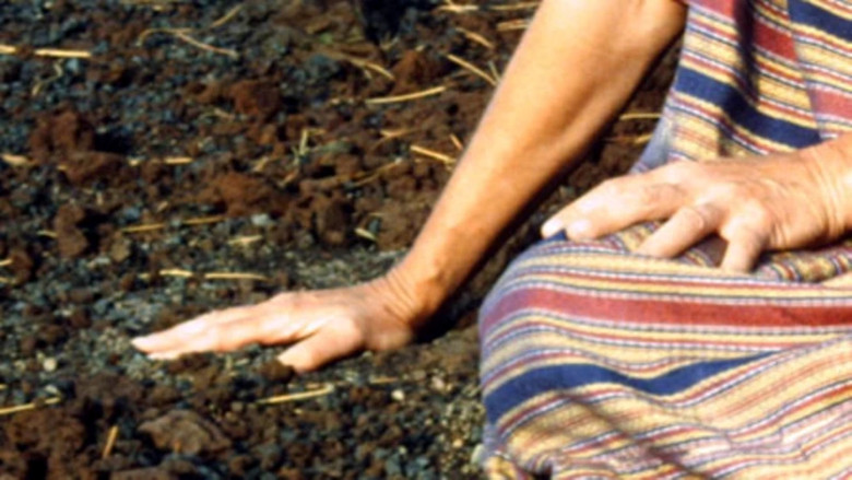 кадр из фильма Schwarze Sünde