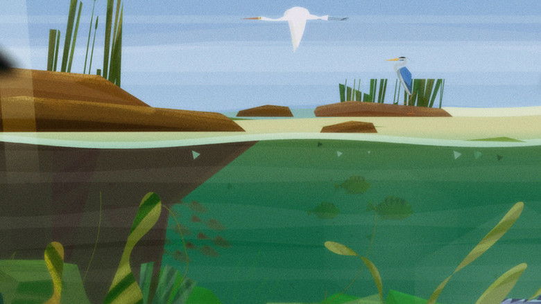 кадр из фильма Pororoca