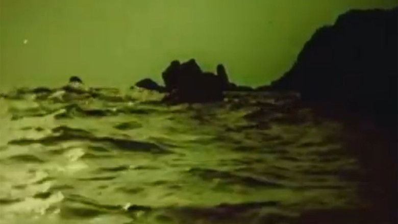 кадр из фильма Солнечное зёрнышко