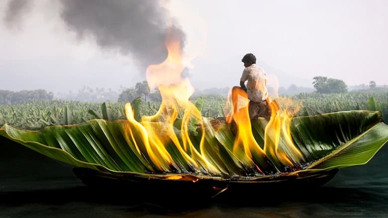 кадр из фильма வாழை