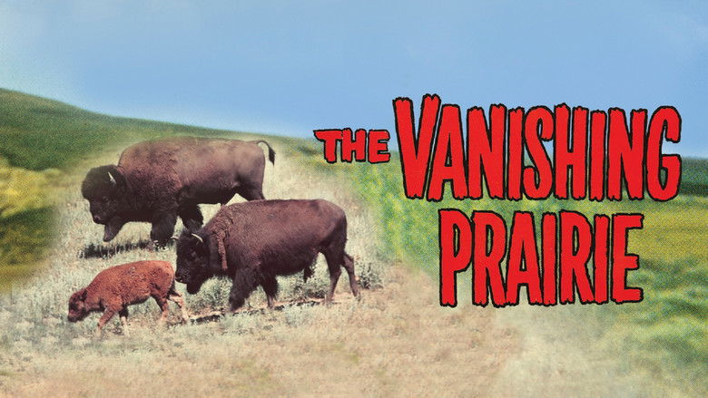 кадр из фильма The Vanishing Prairie