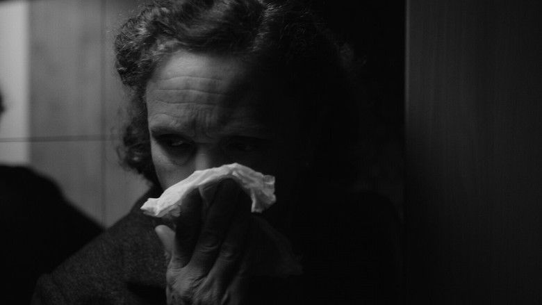 кадр из фильма Madagaskar