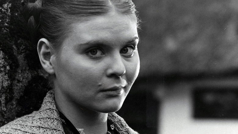 кадр из фильма Tine