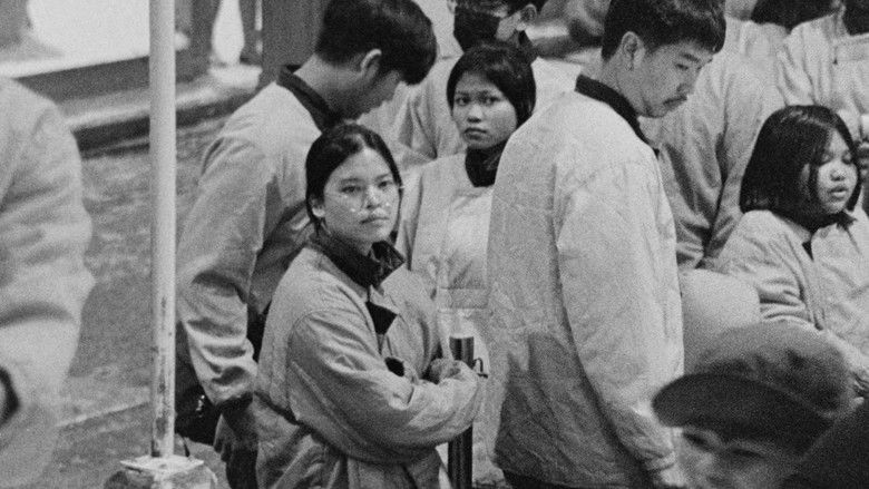 кадр из фильма โลคอลเซนเซชันส์