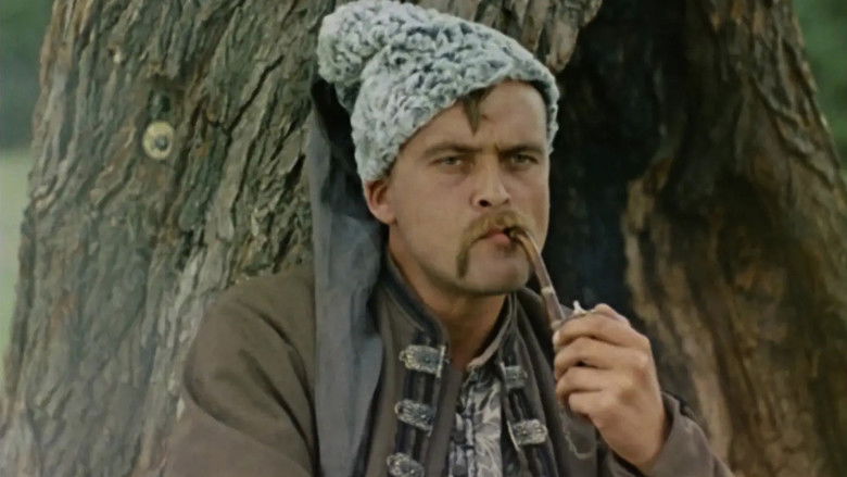 кадр из фильма Пропавшая грамота