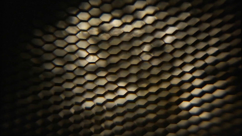 кадр из фильма Movie That Invites Pausing