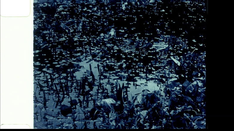 кадр из фильма Echoed Silence