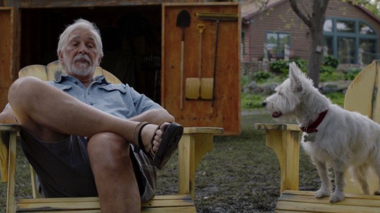 кадр из фильма Злые соседи