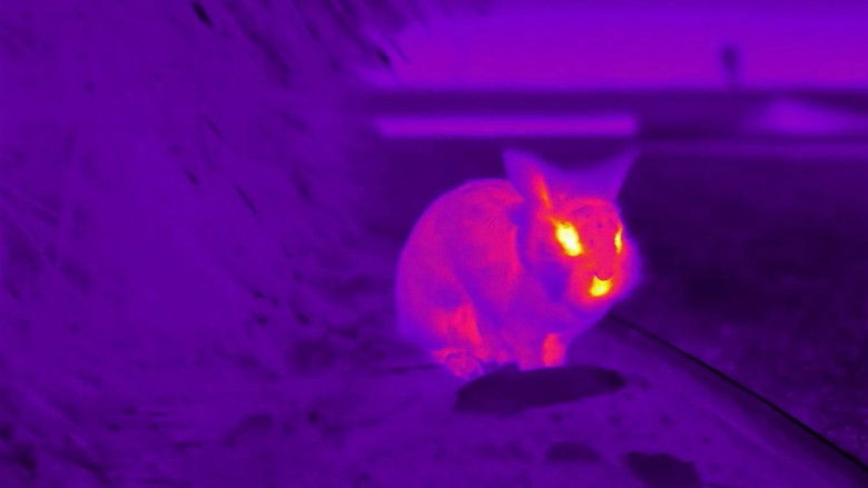 кадр из фильма Агро Дрифт