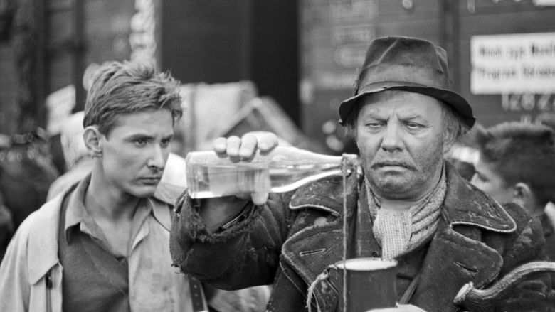 кадр из фильма Nikt nie woła