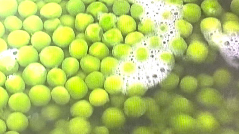 кадр из фильма Peas