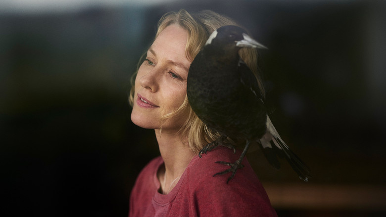 кадр из фильма История семьи Блум