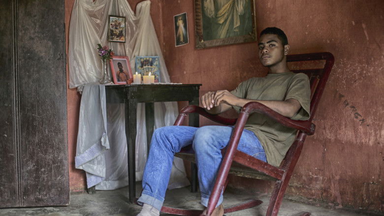 кадр из фильма Elena