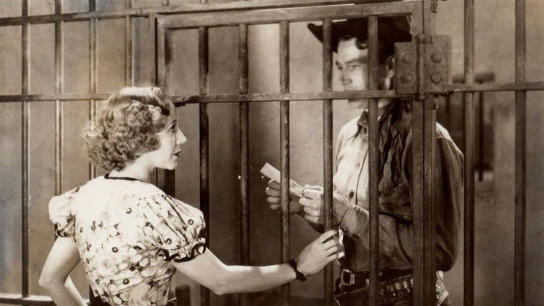 кадр из фильма Одинокий всадник Рэнди