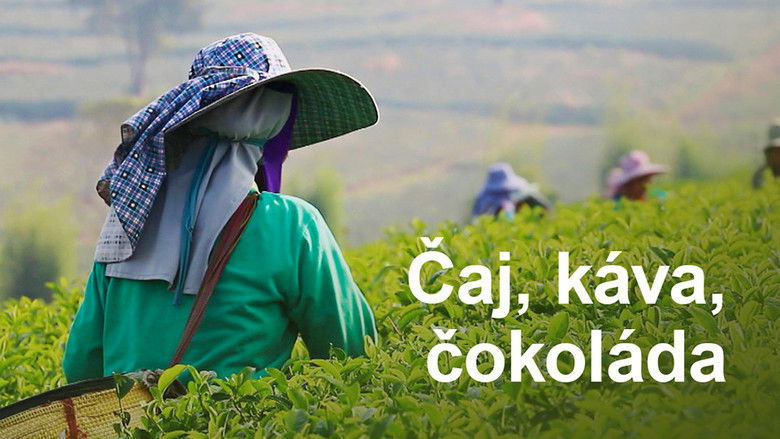 кадр из фильма Thé, café ou chocolat - l'histoire dans nos tasses