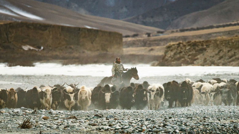 кадр из фильма Территория