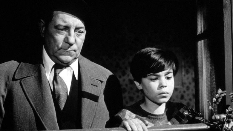 кадр из фильма Бродячие собаки без ошейников