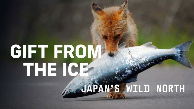 кадр из фильма Gift from the Ice - Japan's Wild North