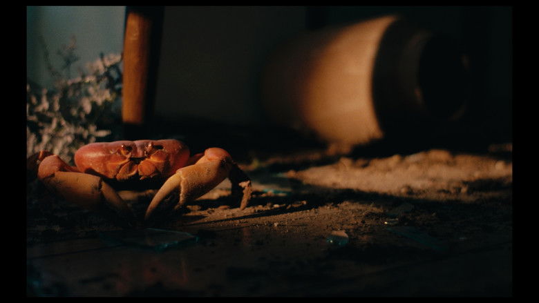 кадр из фильма Cangrejos en el aire