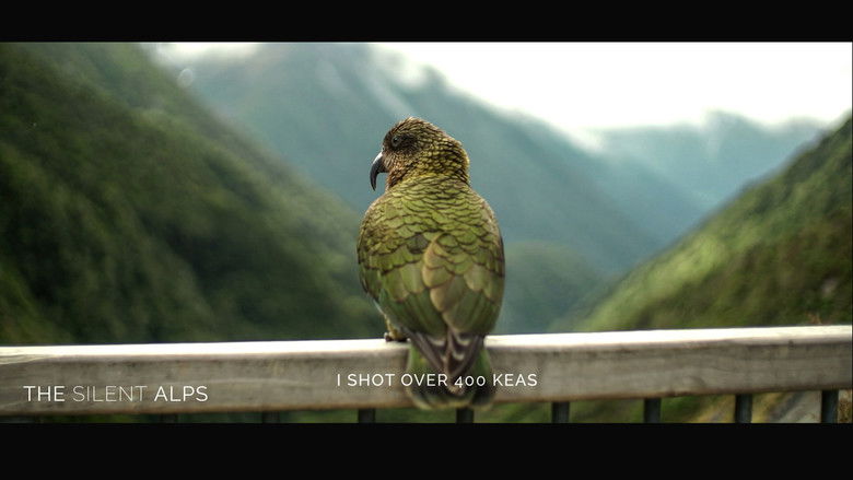 кадр из фильма The Silent Alps