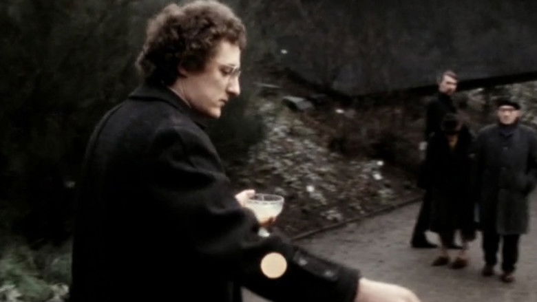 кадр из фильма Der warme Punkt