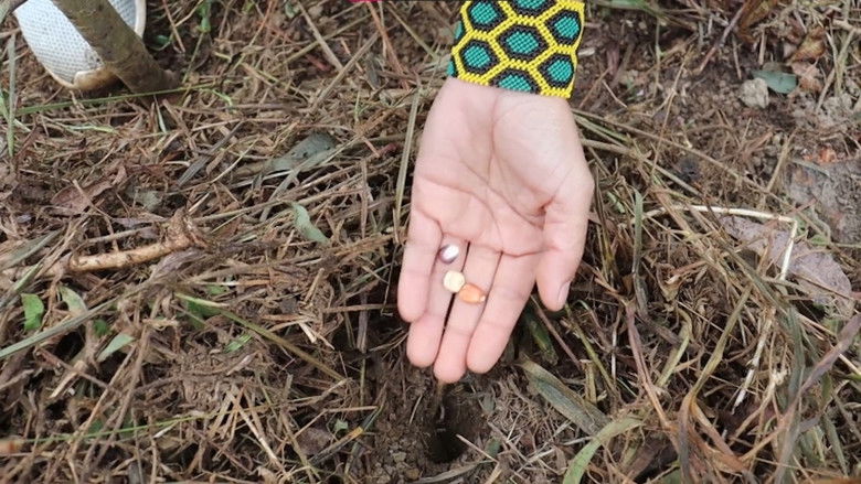 кадр из фильма Aguyjevete Avaxa'i