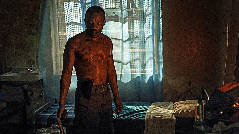 кадр из фильма Пять пальцев для Марселя