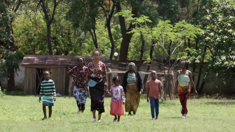 кадр из фильма On Becoming a Guinea Fowl