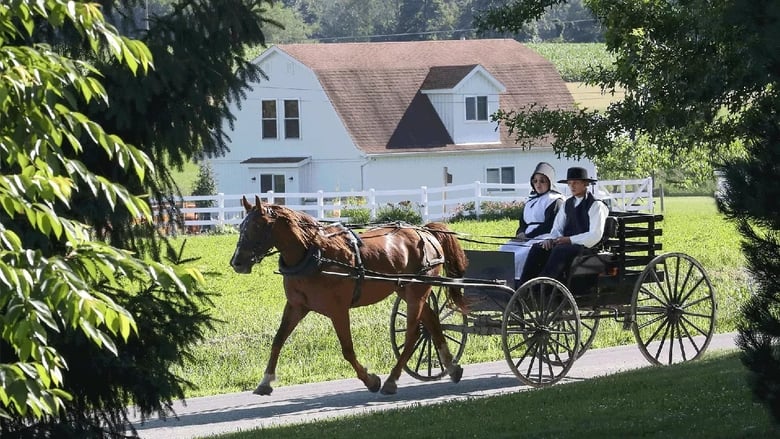 кадр из фильма En Terre Amish