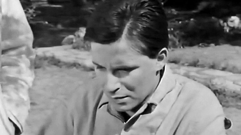 кадр из фильма Η Γόησσα