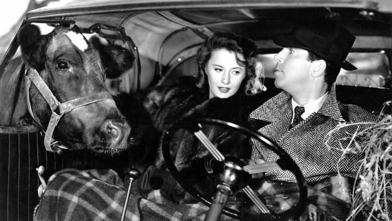 Запомни ночь