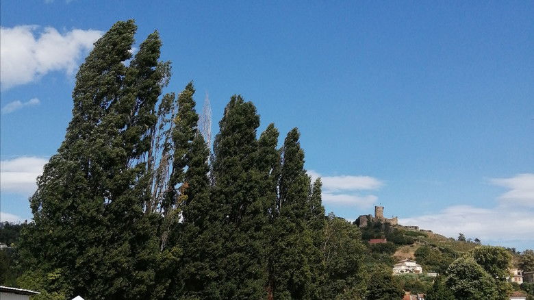 кадр из фильма Chaînes Dorées