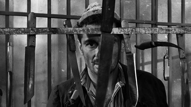 кадр из фильма Каирский вокзал