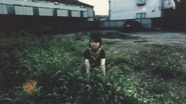 кадр из фильма Motion Photograffiti