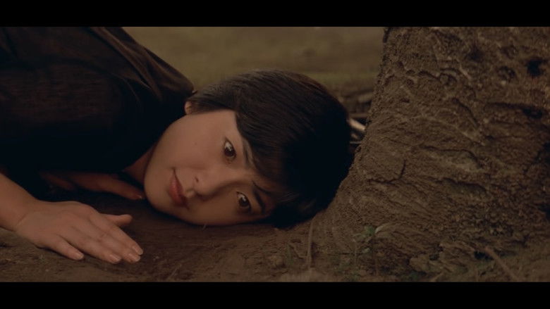 кадр из фильма ラブレター