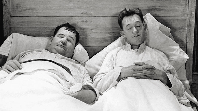 Они наводят шороху!