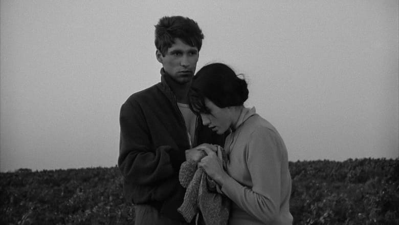 кадр из фильма Os Verdes Anos