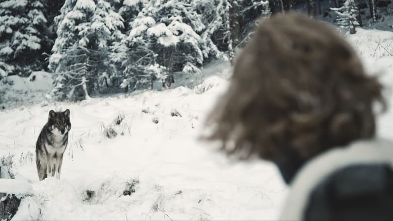 кадр из фильма Der Wolf