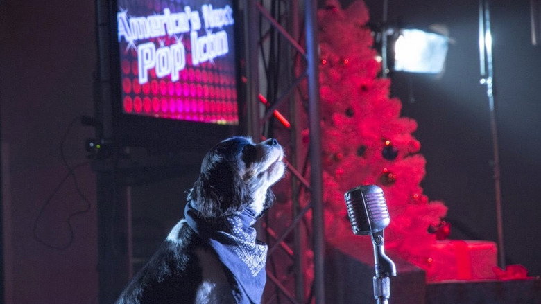 кадр из фильма Pop Star Puppy