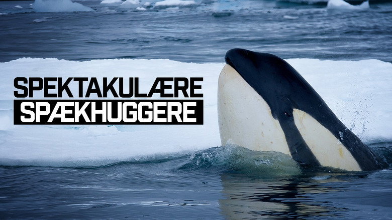 кадр из фильма Expedition Killer Whale