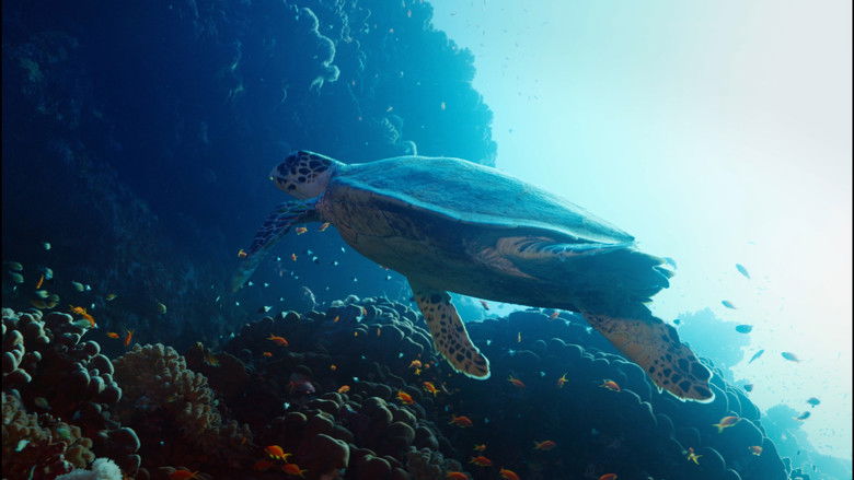 кадр из фильма هورايزن