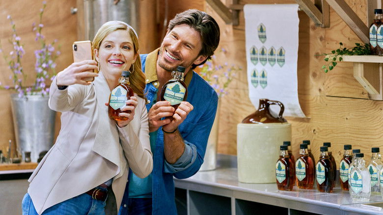 кадр из фильма Там, где сердце (Любовь в тренде)