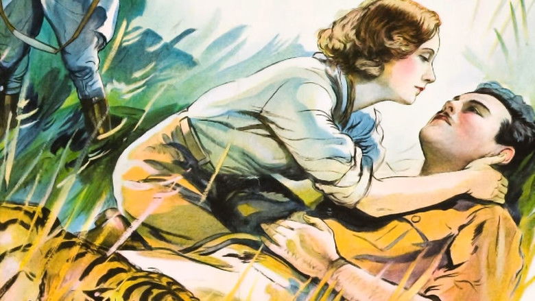 кадр из фильма Дикие орхидеи