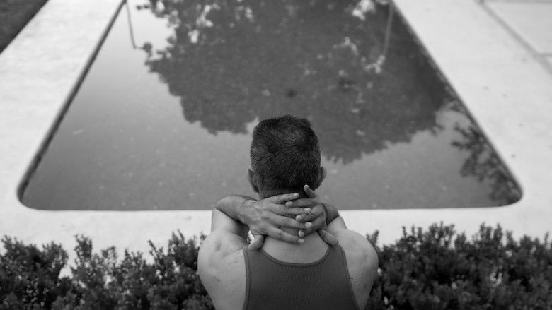 кадр из фильма La sinfonía del sandwich