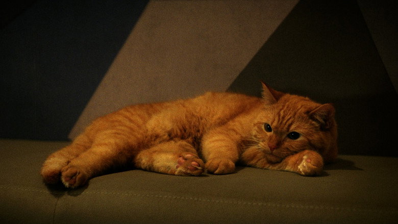 кадр из фильма Майк и Ник и Ник и Элис