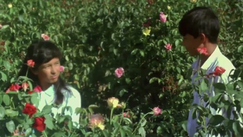 кадр из фильма ผีเสื้อและดอกไม้